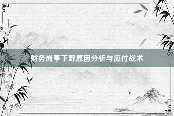 财务岗亭下野原因分析与应付战术