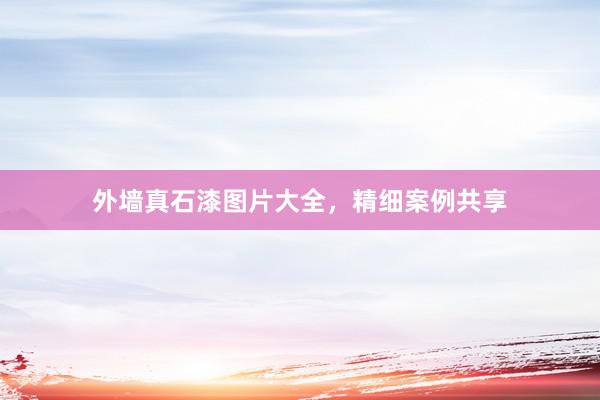 外墙真石漆图片大全，精细案例共享
