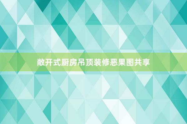 敞开式厨房吊顶装修恶果图共享