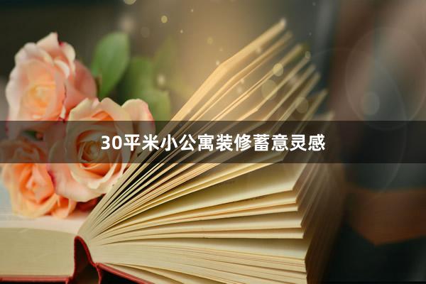 30平米小公寓装修蓄意灵感